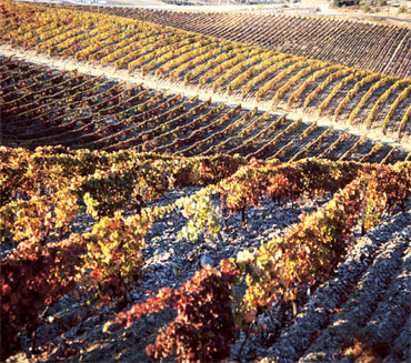Quinta do Casal da Granja